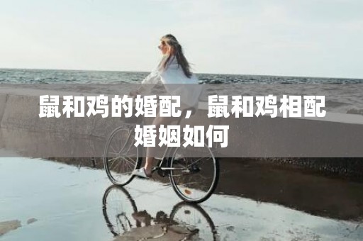 鼠和鸡的婚配，鼠和鸡相配婚姻如何