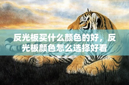 反光板买什么颜色的好，反光板颜色怎么选择好看