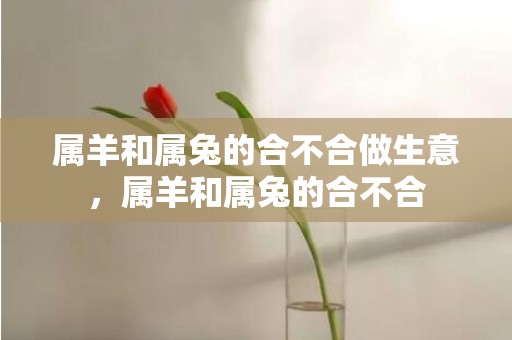 属羊和属兔的合不合做生意，属羊和属兔的合不合