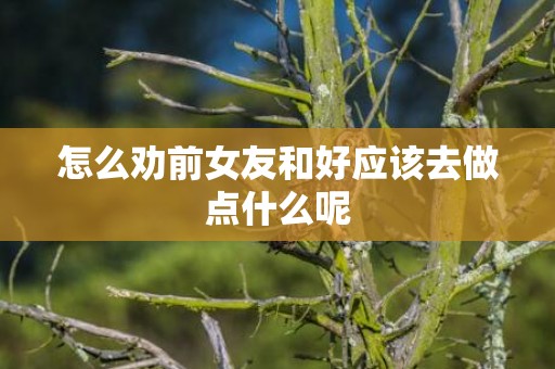 怎么劝前女友和好应该去做点什么呢