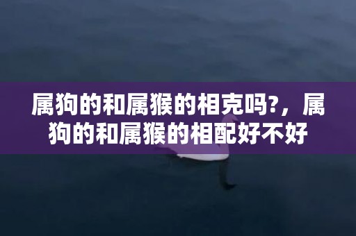 属狗的和属猴的相克吗?，属狗的和属猴的相配好不好