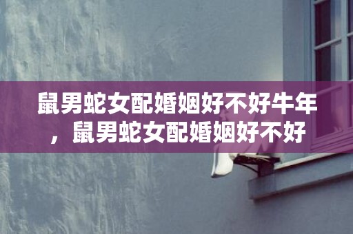 鼠男蛇女配婚姻好不好牛年，鼠男蛇女配婚姻好不好