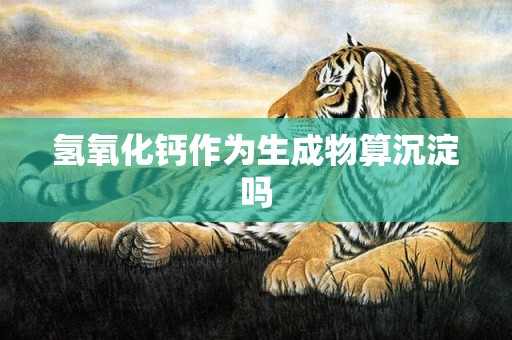氢氧化钙作为生成物算沉淀吗