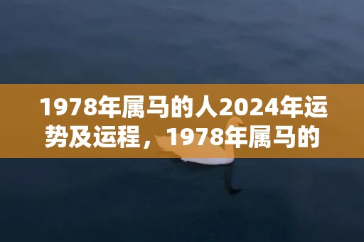 1978年属马的人2024年运势及运程，1978年属马的最佳配偶