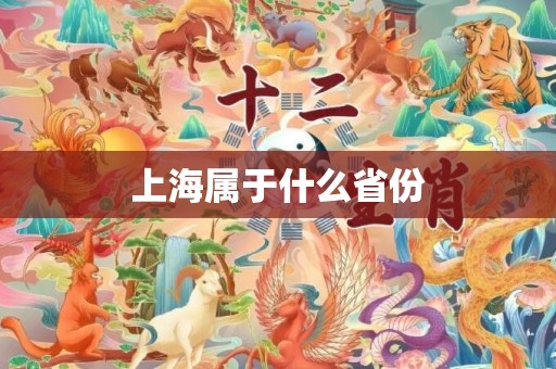 上海属于什么省份
