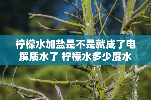 柠檬水加盐是不是就成了电解质水了 柠檬水多少度水泡好
