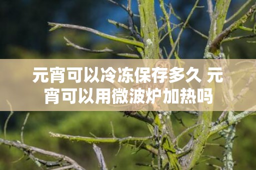 元宵可以冷冻保存多久 元宵可以用微波炉加热吗