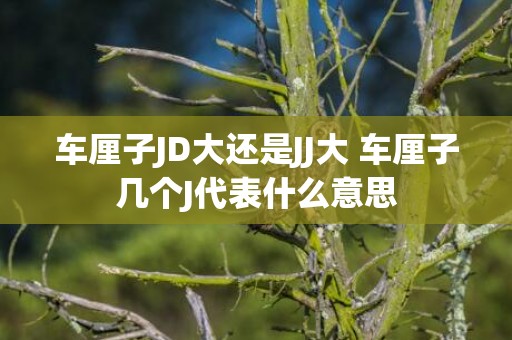 车厘子JD大还是JJ大 车厘子几个J代表什么意思