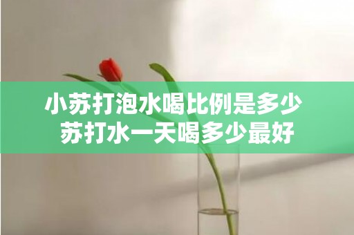 小苏打泡水喝比例是多少 苏打水一天喝多少最好
