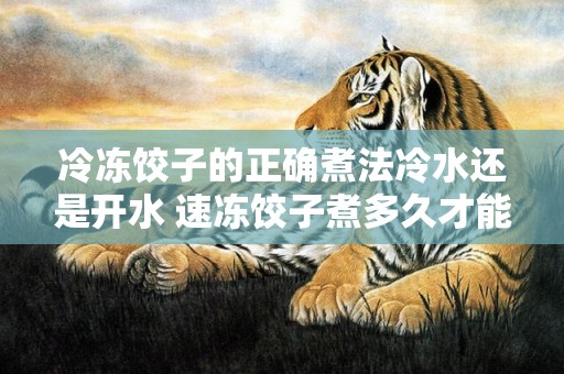 冷冻饺子的正确煮法冷水还是开水 速冻饺子煮多久才能熟