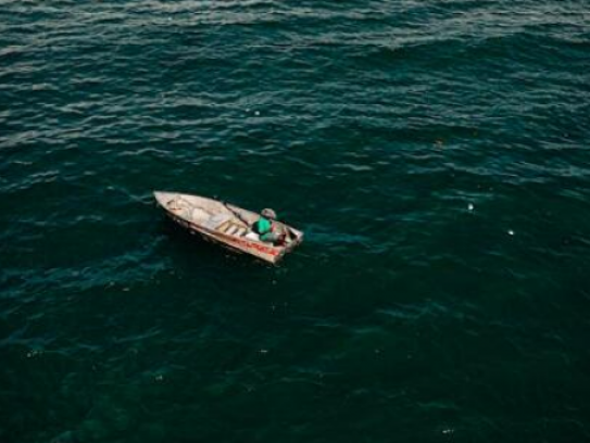 牛油果是什么水果，牛油果有哪些吃法