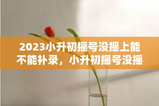 2023小升初摇号没摇上能不能补录，小升初摇号没摇上怎样补录