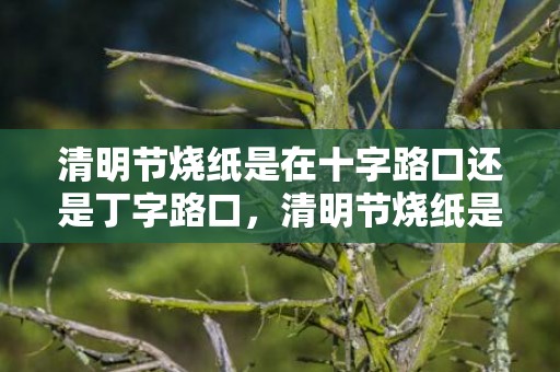 清明节烧纸是在十字路口还是丁字路口，清明节烧纸是在十字路口中间还是在路口