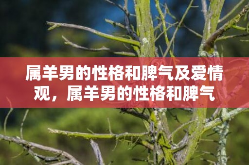 属羊男的性格和脾气及爱情观，属羊男的性格和脾气