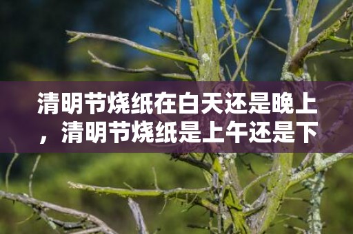 清明节烧纸在白天还是晚上，清明节烧纸是上午还是下午