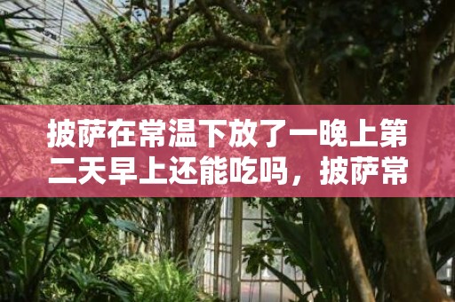 披萨在常温下放了一晚上第二天早上还能吃吗，披萨常温下存放第二天还能吃吗