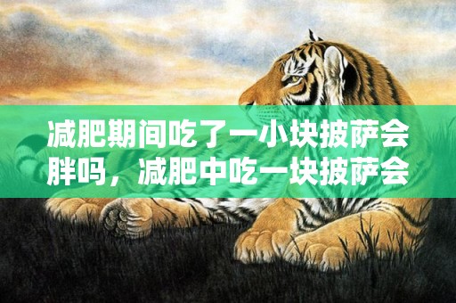 减肥期间吃了一小块披萨会胖吗，减肥中吃一块披萨会不会有影响