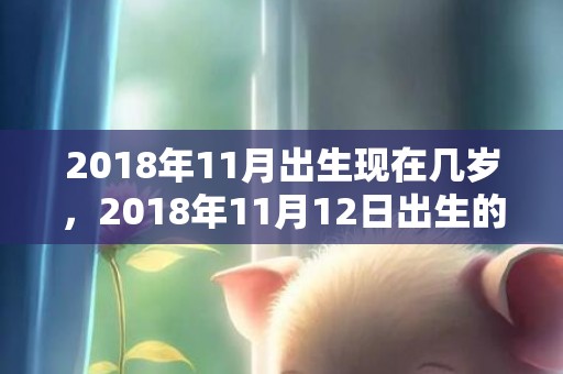 2018年11月出生现在几岁，2018年11月12日出生的女孩名字，女宝宝五行起名