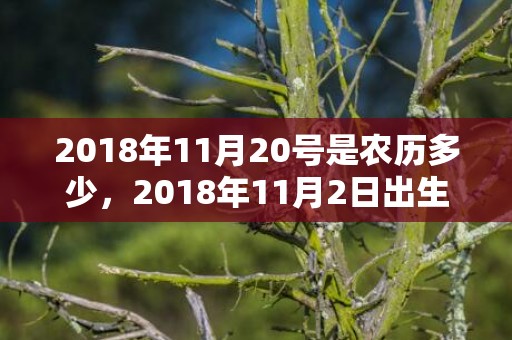 2018年11月20号是农历多少，2018年11月2日出生宝宝怎么取乳名？乳名起名方法？