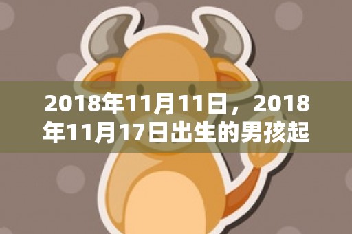 2018年11月11日，2018年11月17日出生的男孩起名，男宝宝五行名字推荐