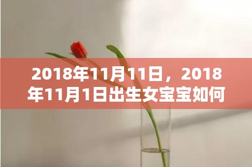 2018年11月11日，2018年11月1日出生女宝宝如何起名？五行是什么属性？