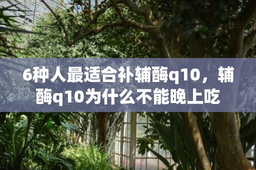 6种人最适合补辅酶q10，辅酶q10为什么不能晚上吃