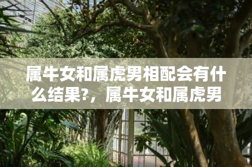 属牛女和属虎男相配会有什么结果?，属牛女和属虎男相配吗