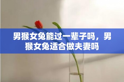 男猴女兔能过一辈子吗，男猴女兔适合做夫妻吗