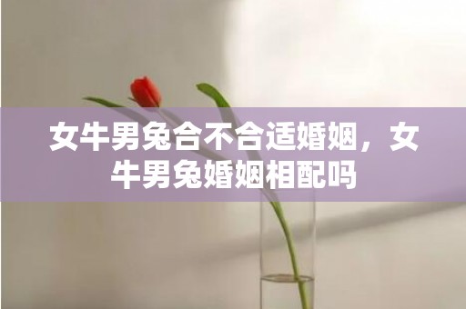 女牛男兔合不合适婚姻，女牛男兔婚姻相配吗