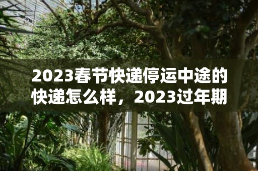 2023春节快递停运中途的快递怎么样，2023过年期间快递停运几天