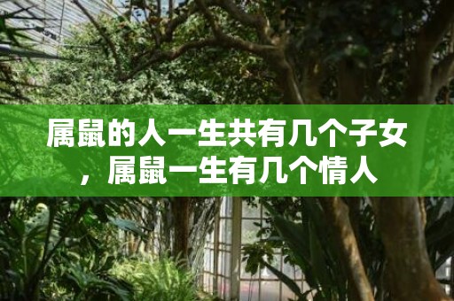 属鼠的人一生共有几个子女，属鼠一生有几个情人