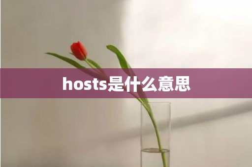 hosts是什么意思