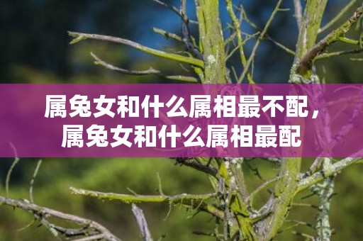 属兔女和什么属相最不配，属兔女和什么属相最配