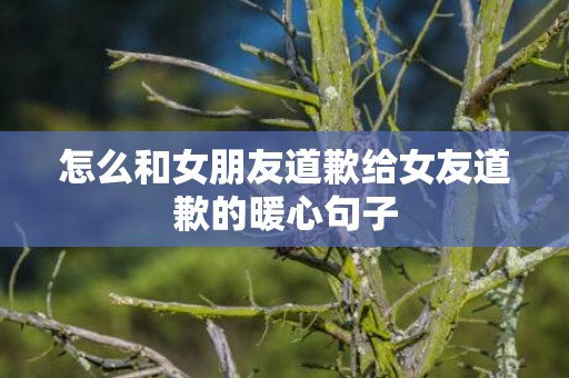 怎么和女朋友道歉给女友道歉的暖心句子