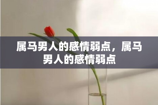 属马男人的感情弱点，属马男人的感情弱点