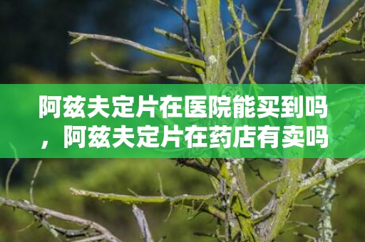 阿兹夫定片在医院能买到吗，阿兹夫定片在药店有卖吗