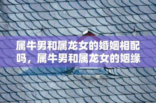 属牛男和属龙女的婚姻相配吗，属牛男和属龙女的姻缘怎样