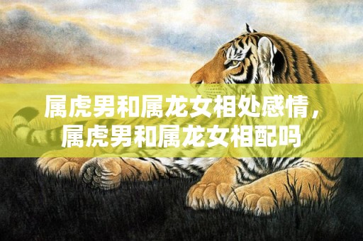 属虎男和属龙女相处感情，属虎男和属龙女相配吗