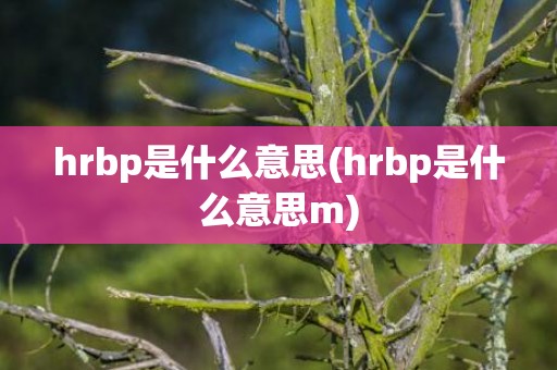 hrbp是什么意思(hrbp是什么意思m)