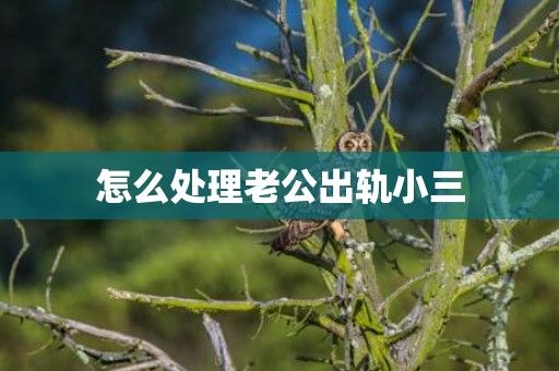 怎么处理老公出轨小三