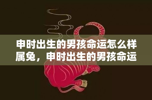 申时出生的男孩命运怎么样属兔，申时出生的男孩命运怎么样