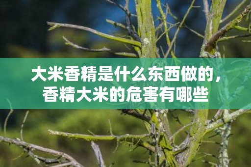 大米香精是什么东西做的，香精大米的危害有哪些