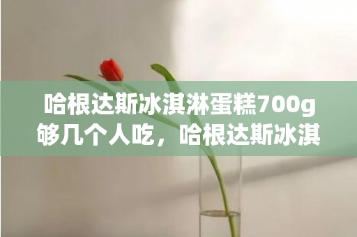 哈根达斯冰淇淋蛋糕700g够几个人吃，哈根达斯冰淇淋蛋糕700g多少钱一个