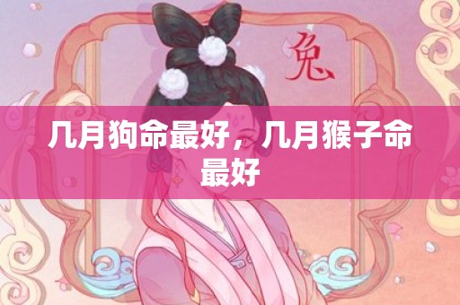 几月狗命最好，几月猴子命最好