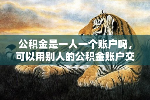 公积金是一人一个账户吗，可以用别人的公积金账户交公积金吗