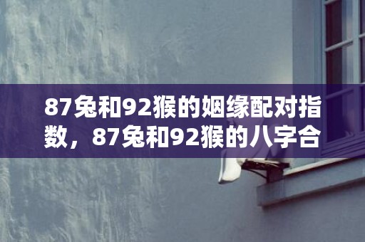87兔和92猴的姻缘配对指数，87兔和92猴的八字合不合