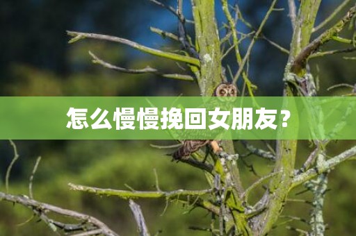 怎么慢慢挽回女朋友？