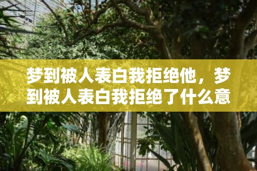 梦到被人表白我拒绝他，梦到被人表白我拒绝了什么意思？单身者梦见自己被表白