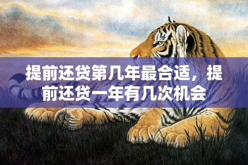 提前还贷第几年最合适，提前还贷一年有几次机会