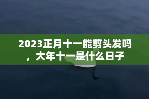 2023正月十一能剪头发吗，大年十一是什么日子